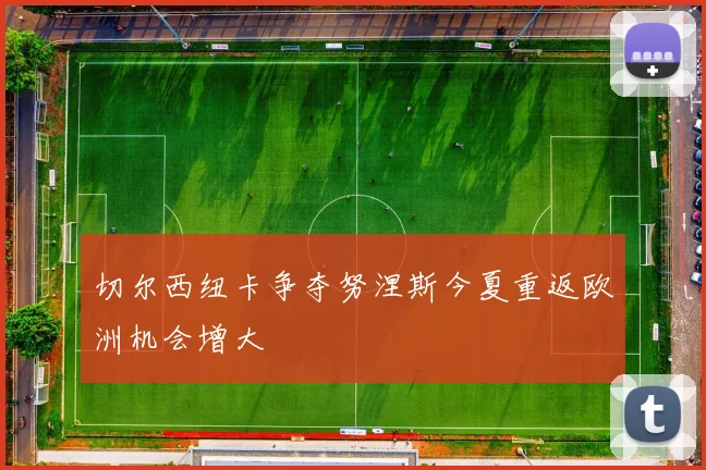 切尔西纽卡争夺努涅斯今夏重返欧洲机会增大
