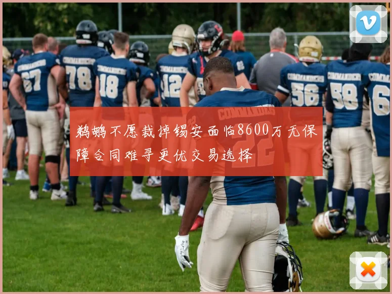 鹈鹕不愿裁掉锡安面临8600万无保障合同难寻更优交易选择